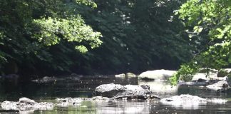 Des métaux dans les rivières : derrière la réouverture des mines du Beaujolais, des risques de pollution sous‐estimés
