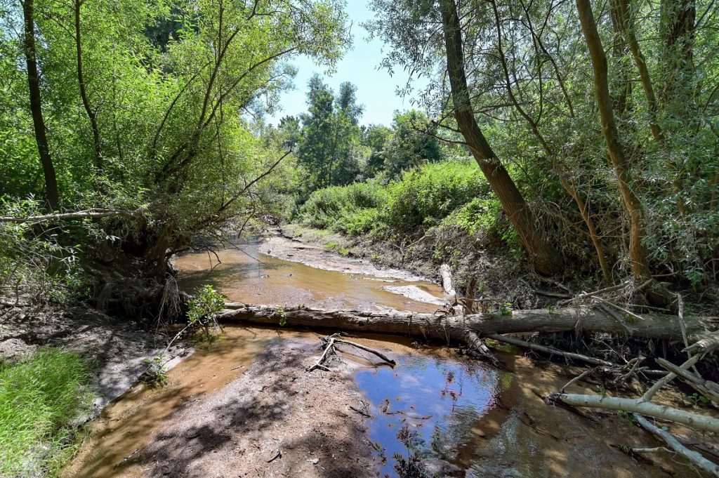Dans des rivières du Beaujolais en surchauffe, l’effondrement des populations d’écrevisses et de poissons