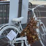 Mort du cycliste Romain Faure à Lille&nbsp;: le conducteur du camion condamné à un an de prison ferme